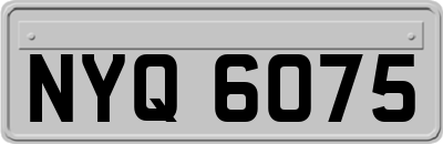 NYQ6075