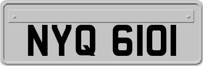 NYQ6101