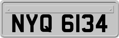 NYQ6134