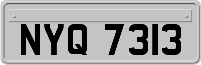 NYQ7313