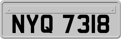 NYQ7318