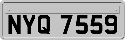 NYQ7559