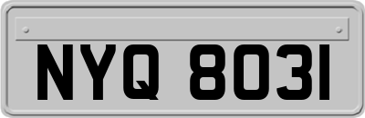 NYQ8031