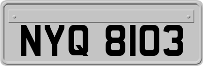NYQ8103
