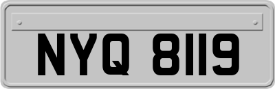 NYQ8119