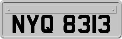 NYQ8313