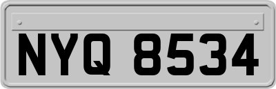 NYQ8534