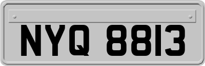 NYQ8813