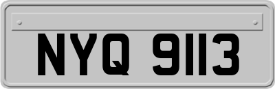 NYQ9113