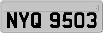 NYQ9503