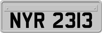 NYR2313