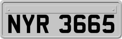 NYR3665