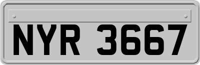 NYR3667