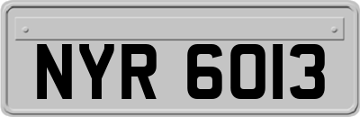 NYR6013