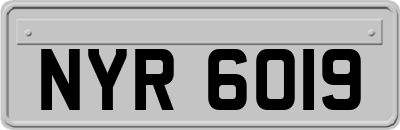 NYR6019