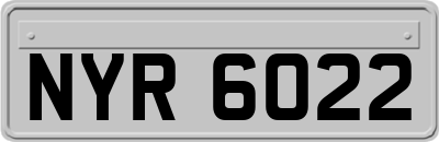 NYR6022
