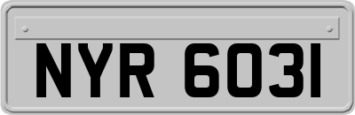 NYR6031