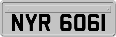 NYR6061