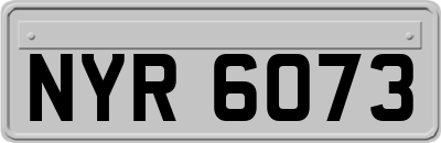 NYR6073