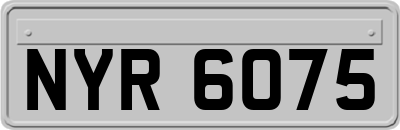 NYR6075