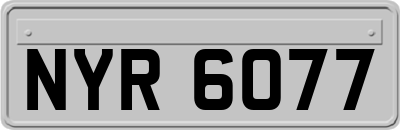 NYR6077