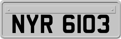 NYR6103