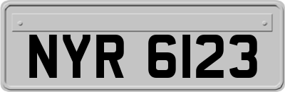 NYR6123