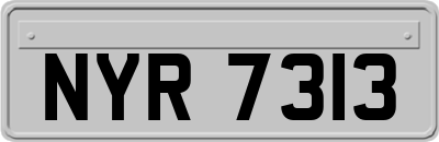 NYR7313