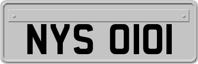 NYS0101