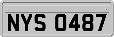 NYS0487
