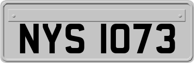 NYS1073
