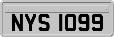 NYS1099