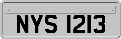 NYS1213