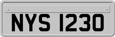 NYS1230