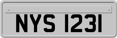 NYS1231