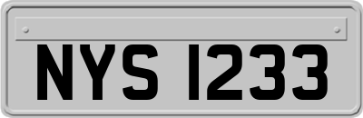 NYS1233