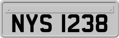 NYS1238