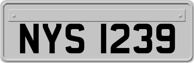 NYS1239