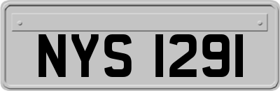 NYS1291