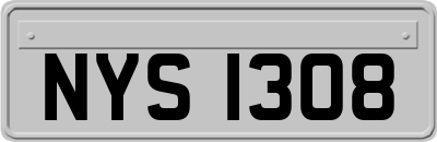 NYS1308