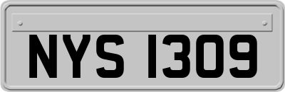 NYS1309
