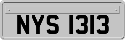 NYS1313