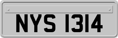 NYS1314