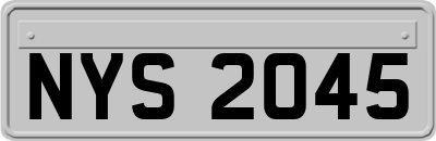 NYS2045