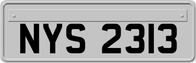 NYS2313