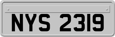 NYS2319