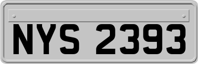 NYS2393