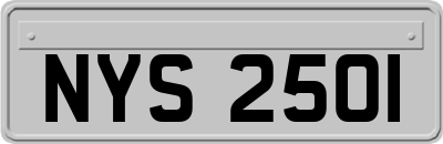 NYS2501