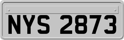NYS2873