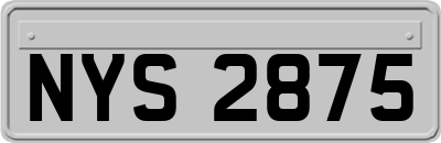 NYS2875